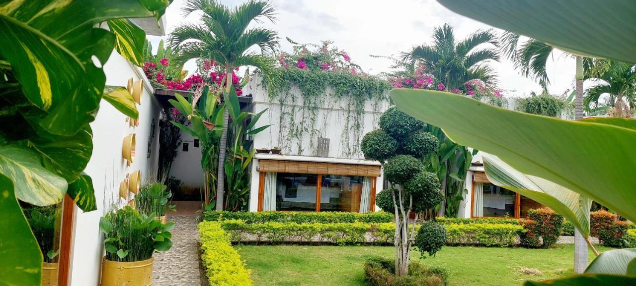 The Edicha Bed & Breakfast Lovina  Exterior photo
