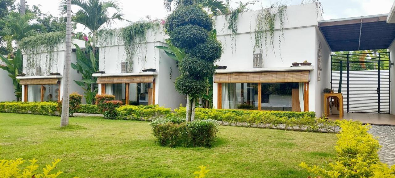 The Edicha Bed & Breakfast Lovina  Exterior photo